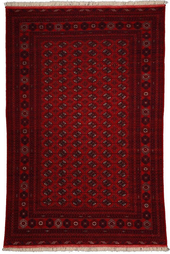 Afghan Tappeto 300x200 Rosso (Afghanistan) Annodato A Mano
