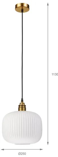 Lampadario a sospensione su cavo HECTOR 1xE27/15W/230V Ø 25 cm