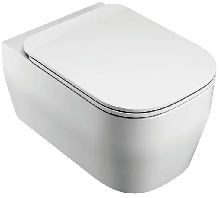 Vaso WC sospeso OLYMPIA CERAMICA tutto evo senza brida, sedile escluso P 53 x L 36 x H 42 cm bianco