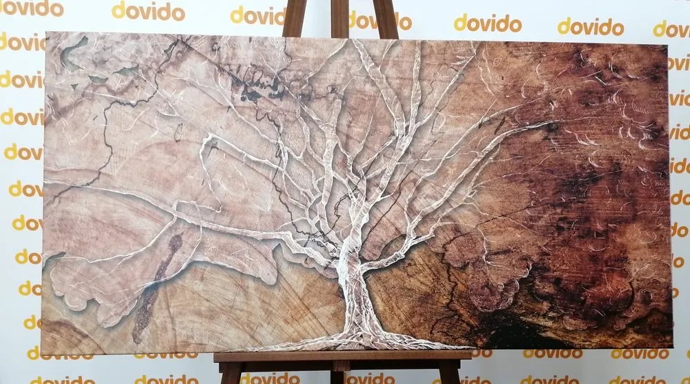 Stampa su tela – Corona dell'albero