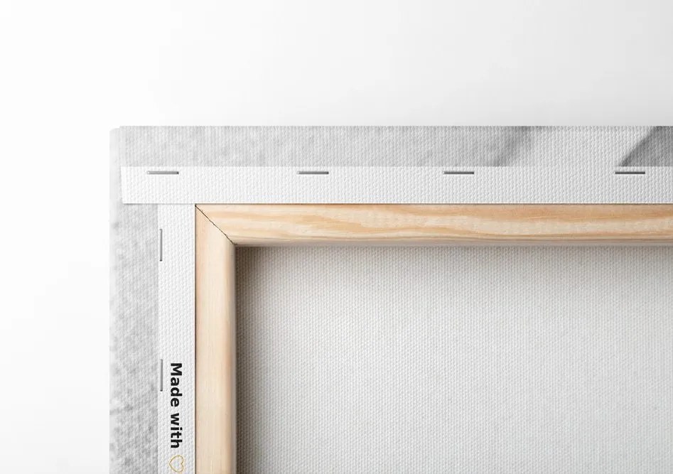 Quadro su tela – Pietra Zen con farfalla in bianco e nero