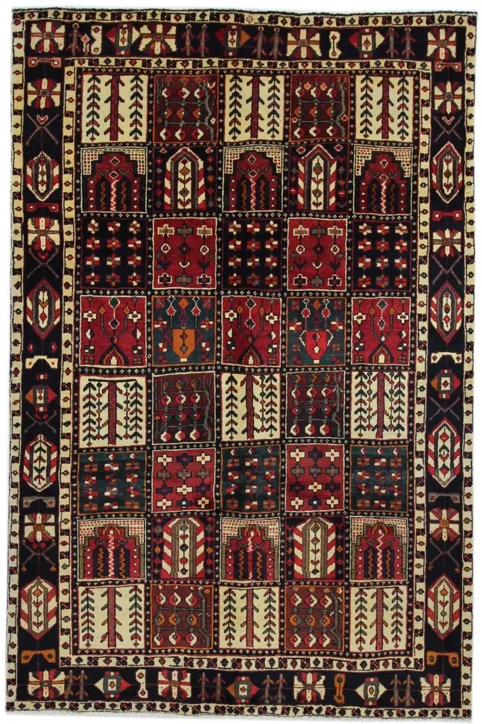 Bakhtiar Tappeto 310 x 200 (Iran)