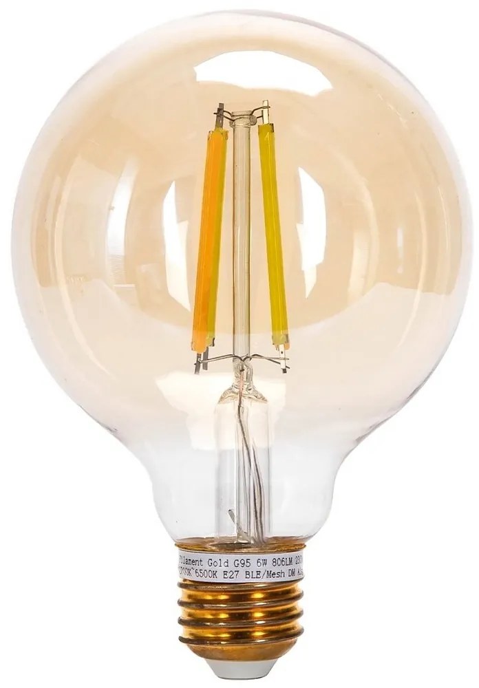 Lampadina LED FILAMENT G95 E27/6W/230V 2700-6500K - Aigostar