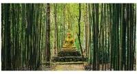 Stampa su tela Buddha, multicolore 140 x 70 cm