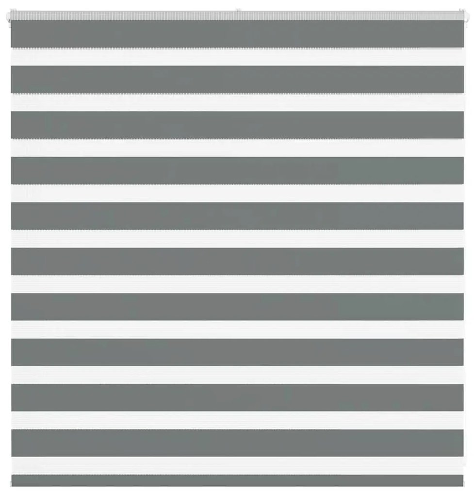 Tenda A Rullo Zebra Larghezza Tessuto 145,9 Cm Poliestere /