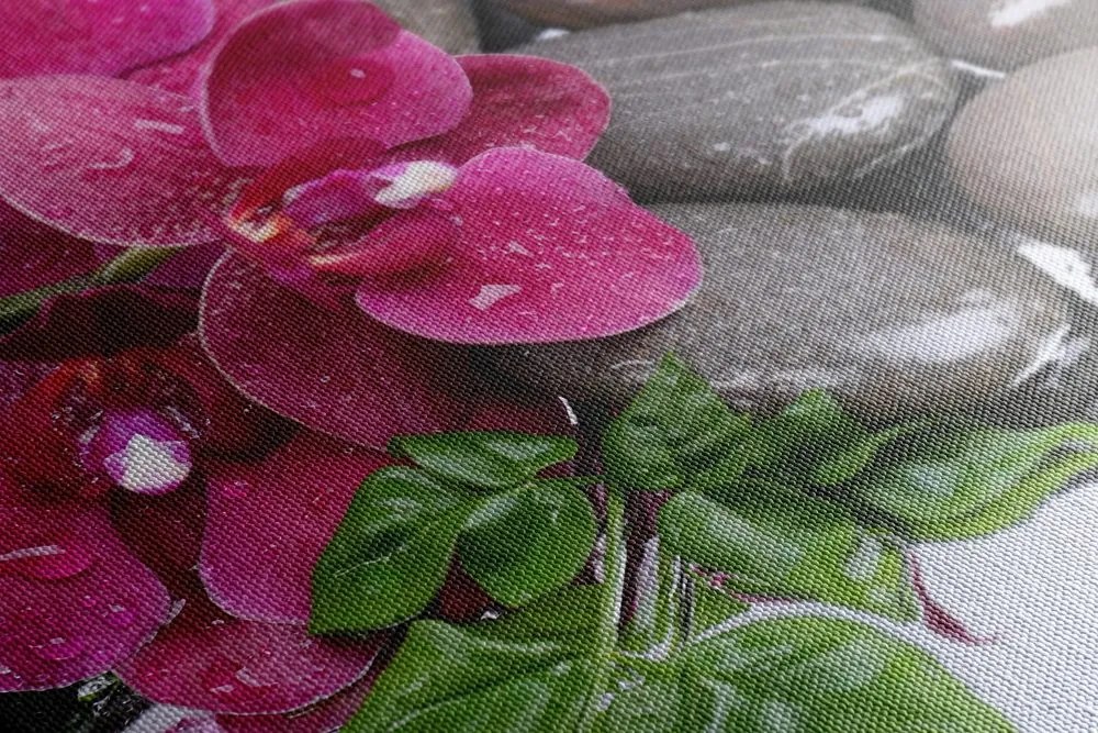 Quadro su tela – Orchidea fiorita e pietre per il benessere