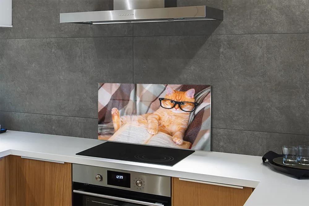 Pannello paraschizzi cucina Un gatto che legge 100x50 cm