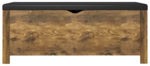 Contenitore con Cuscino Rovere Fumo 105x40x45cm Multistrato