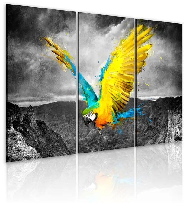 Quadro Uccello paradisiaco  Colore bianco e nero, Dimensioni e Misure 120x80