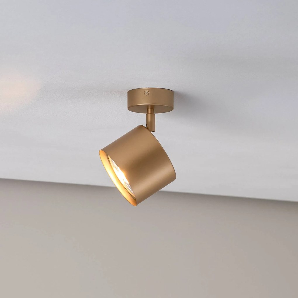 Argon Faretto da soffitto Chloe orientabile 1 luce, oro