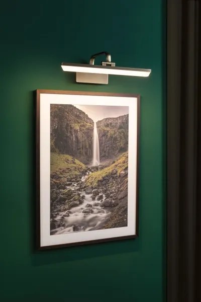 Paulmann 95569 - LED/9,5W Lampada per quadri RENAN 230V 40 cm ottone