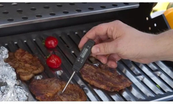 Termometro digitale per carne -50-150°C 1xLR44