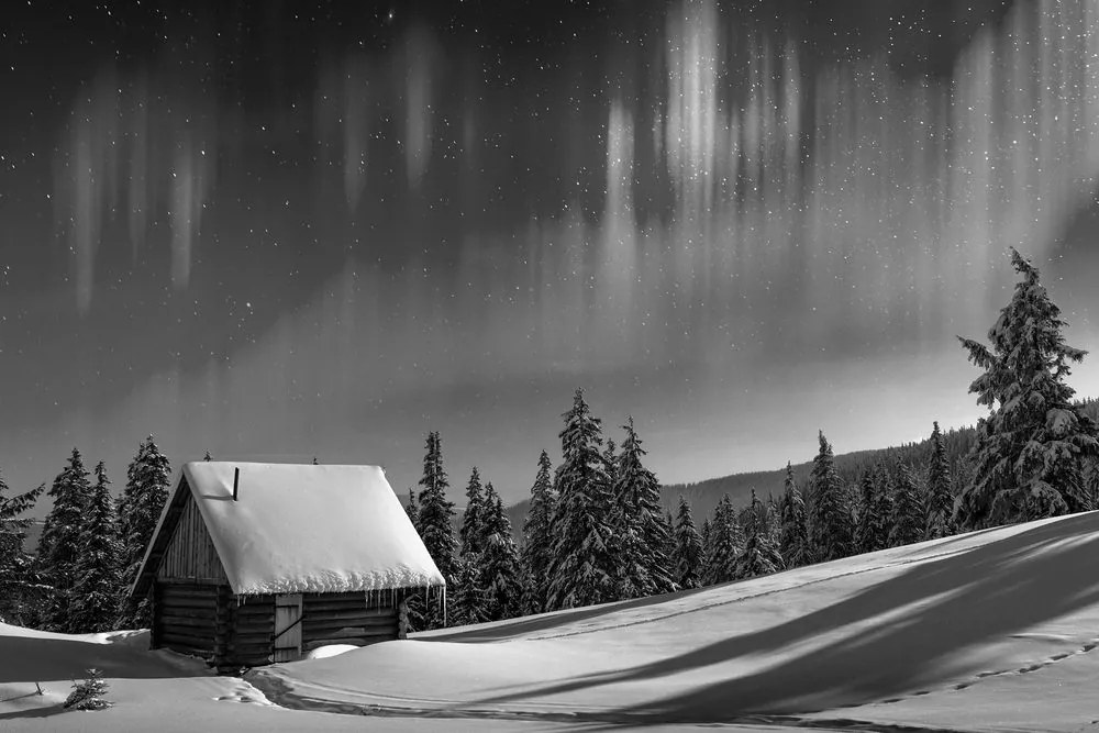 Stampa su tela – Paesaggio invernale fiabesco in bianco e nero