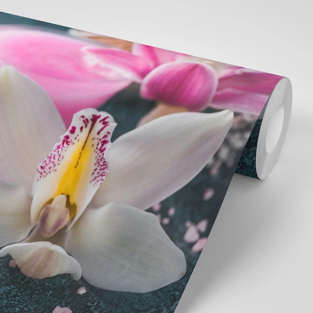 Carta da parati autoadesiva – Orchidea dettagliata meravigliosa