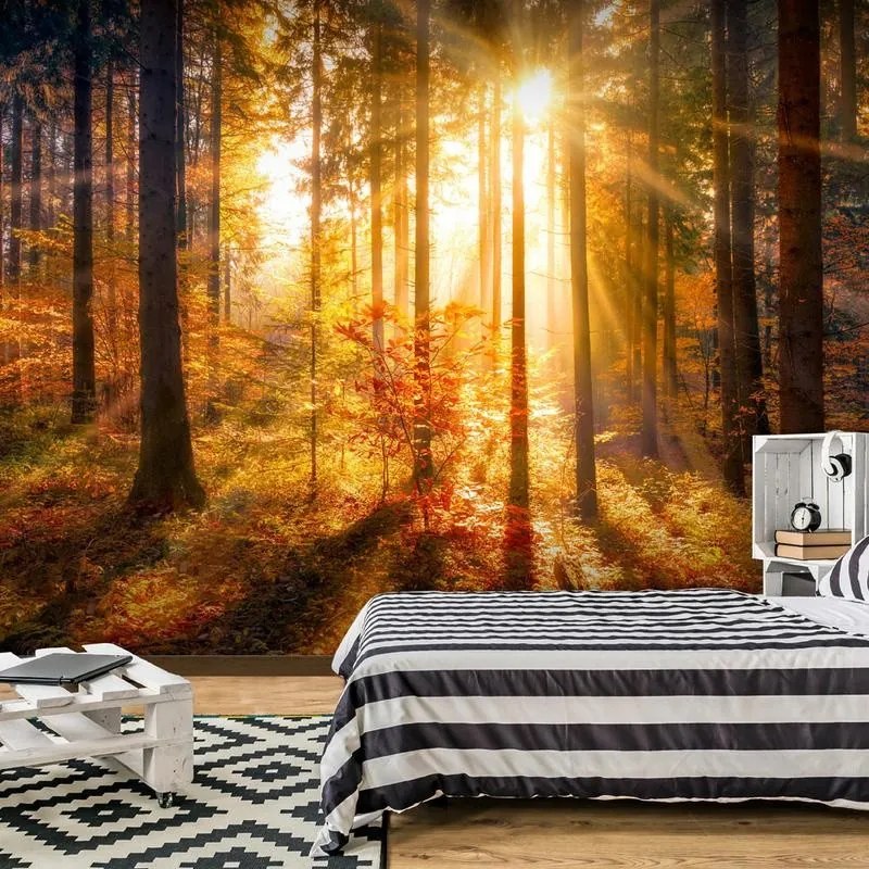 Fotomurale adesivo  Risveglio d'autunno  Larghezza x Altezza Home decor 245x175