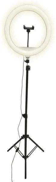 LED Lampada dimmerabile con treppiede e supporto per vlogging LED/15W/5V 2700-6500K