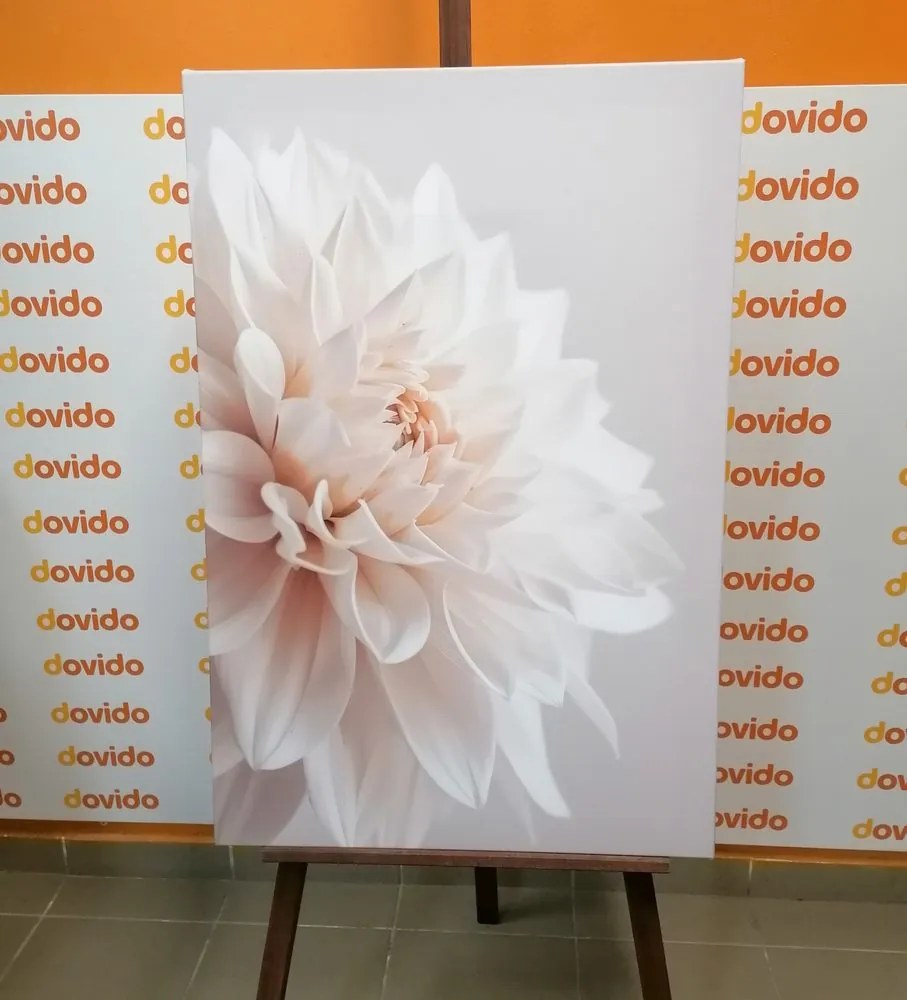 Stampa su tela – Petali bianchi