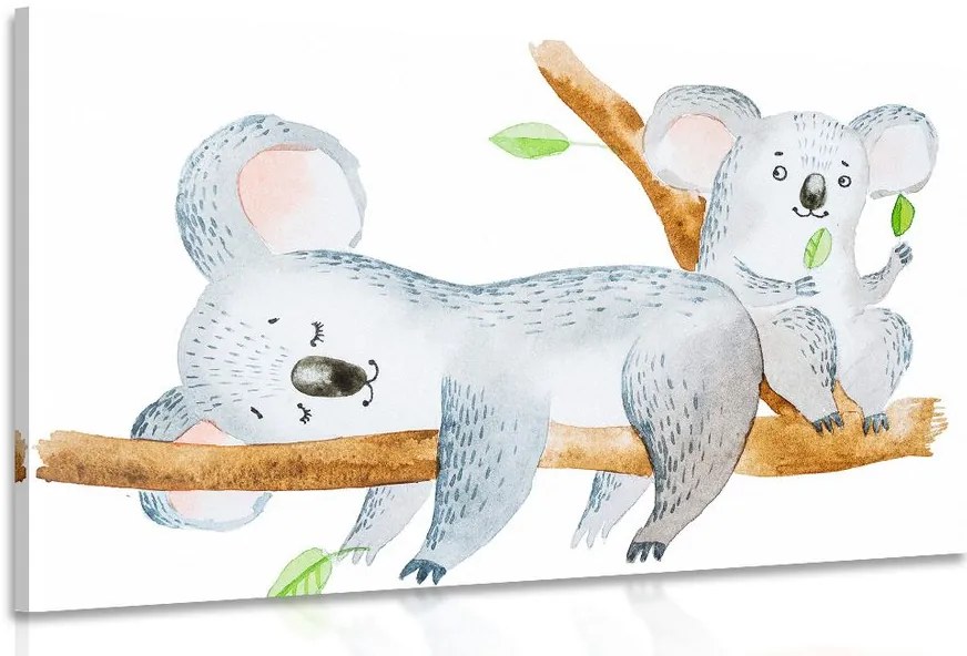 Stampa su tela – Koala adorabili