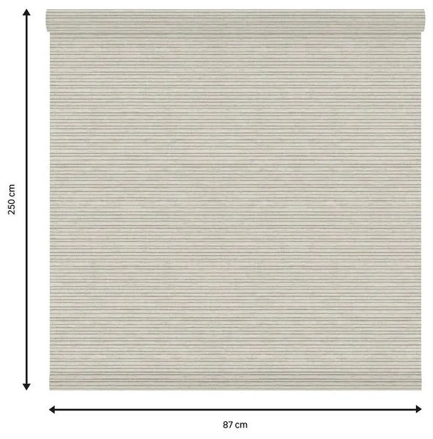 Tessuto per tende a rullo filtrante INSPIRE Darwin beige 87 x 250 cm