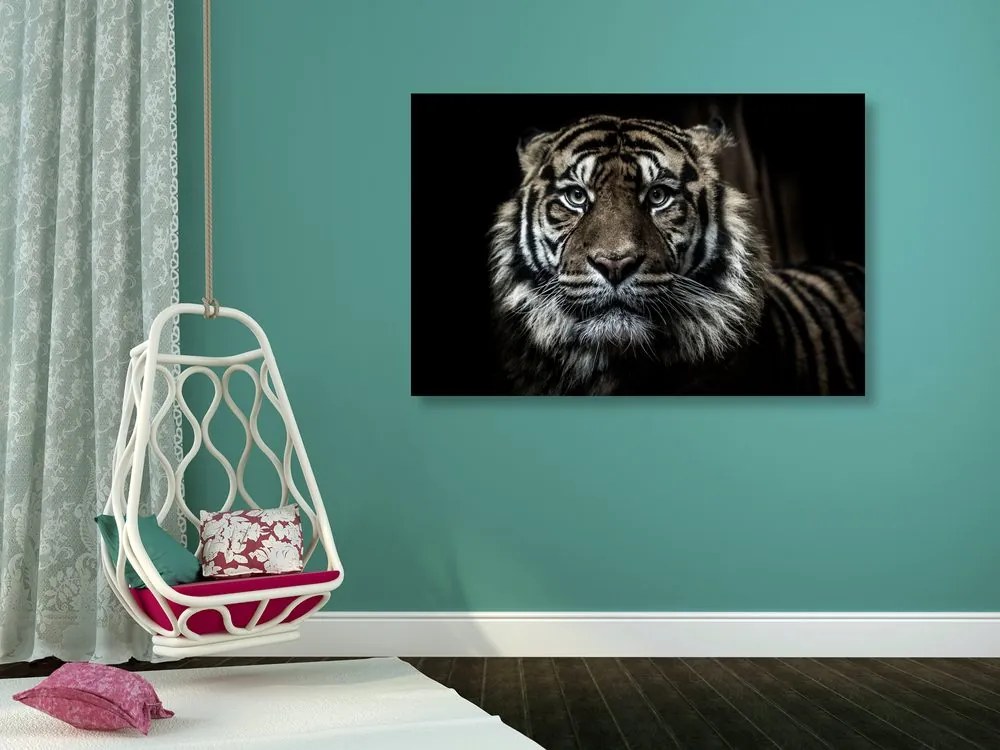 Stampa su tela – Tigre