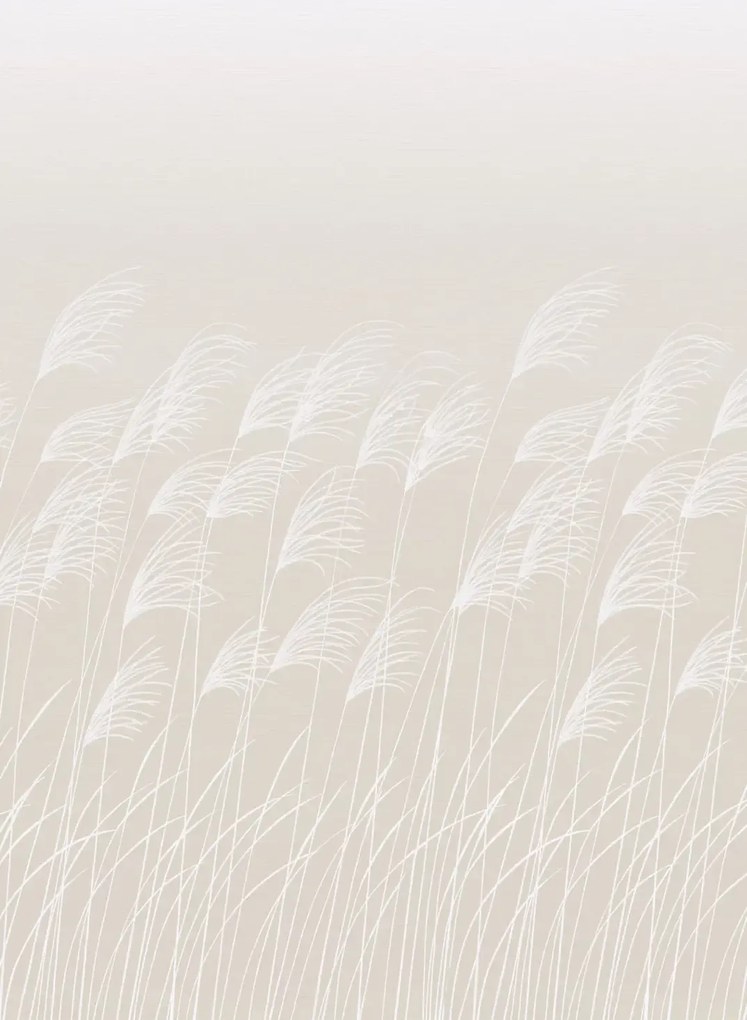 Harlequin Carta da parati panoramica Miscanthus - Parchment/ Frost