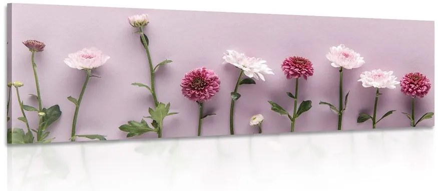 Stampa su tela – Composizione di crisantemi rosa