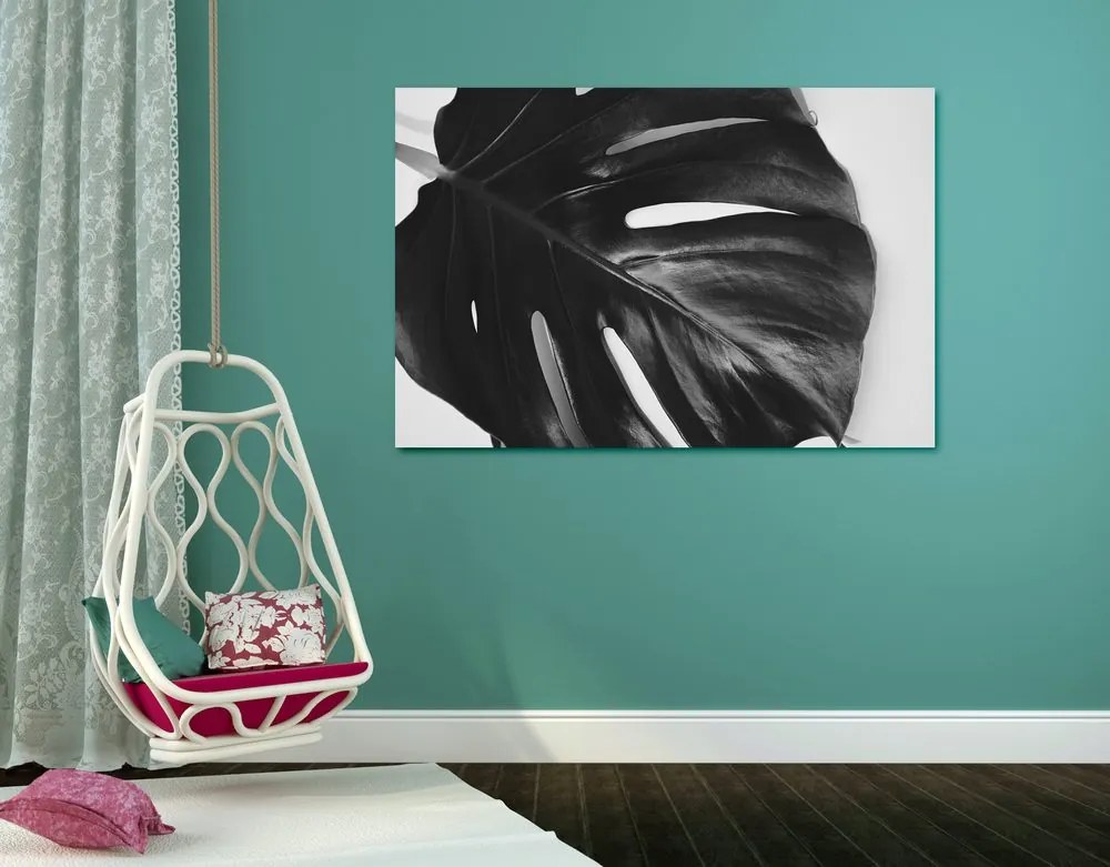 Quadro su tela – Foglia di monstera in bianco e nero