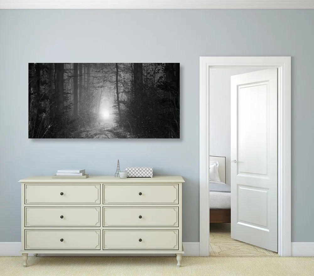 Quadro su tela – Luce nella foresta in bianco e nero