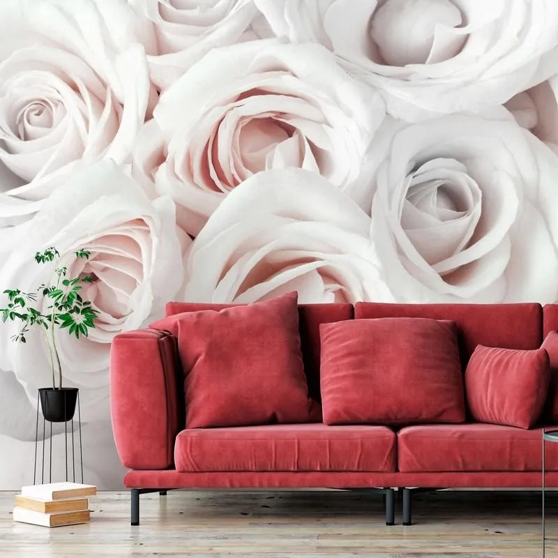 Fotomurale adesivo  Satin Rose (Pink)  Larghezza x Altezza Home decor 98x70