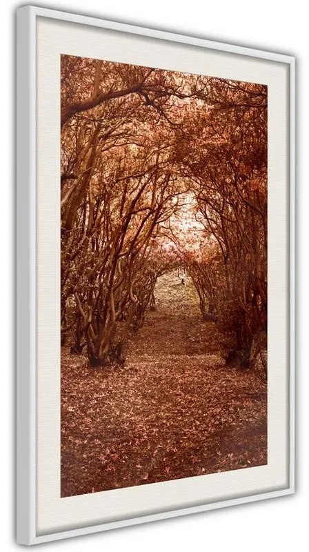 Poster  Quiet Path  Cornice Quadri Cornice nera con pass-partout, Larghezza x Altezza Home decor 40x60