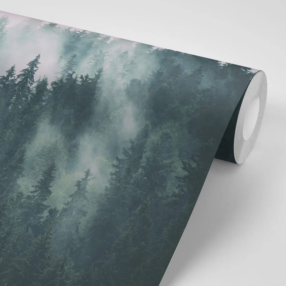 Carta da parati – Foresta nella nebbia