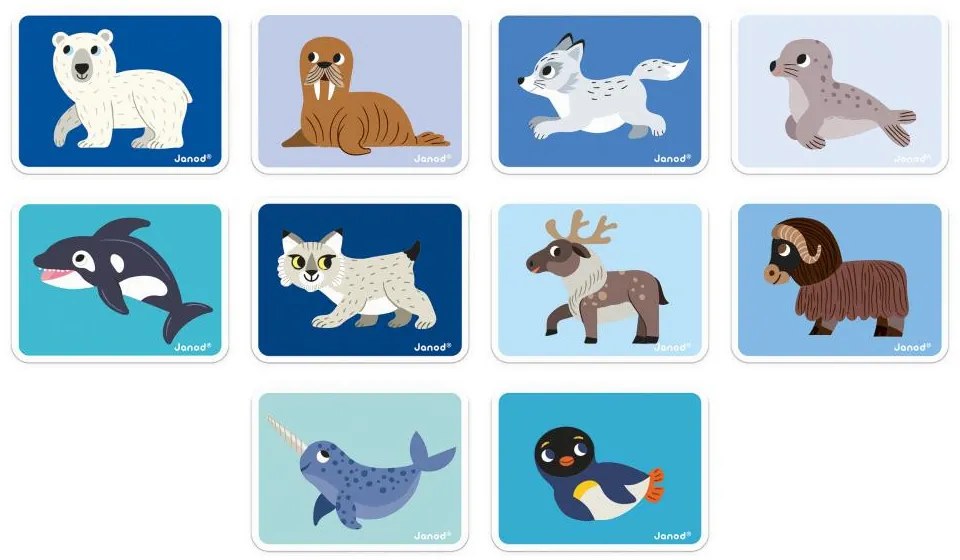 Magnéti'book - Animali polari