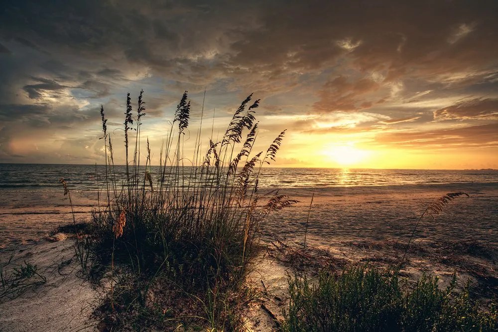 Carta da parati – Tramonto sulla spiaggia