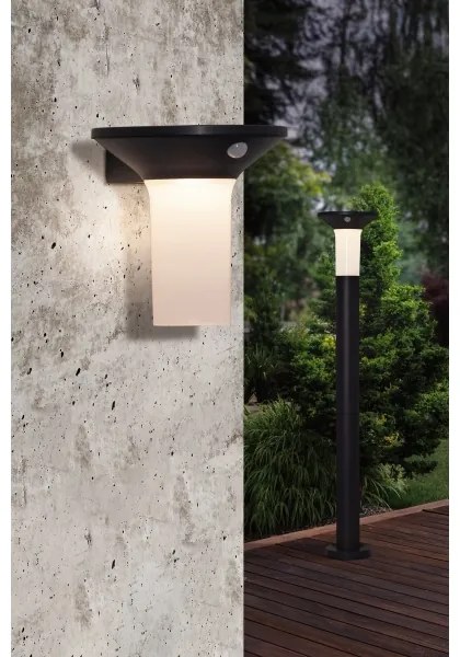 Eglo 900244 - Lampada solare da esterno a LED con sensore 6xLED/0,03W/3,7V IP44