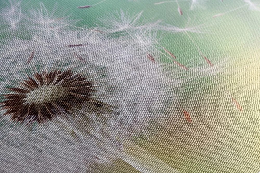Stampa su tela – Soffione magico