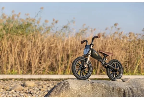 QPlay - Bici a spinta FEDURO nero/oro