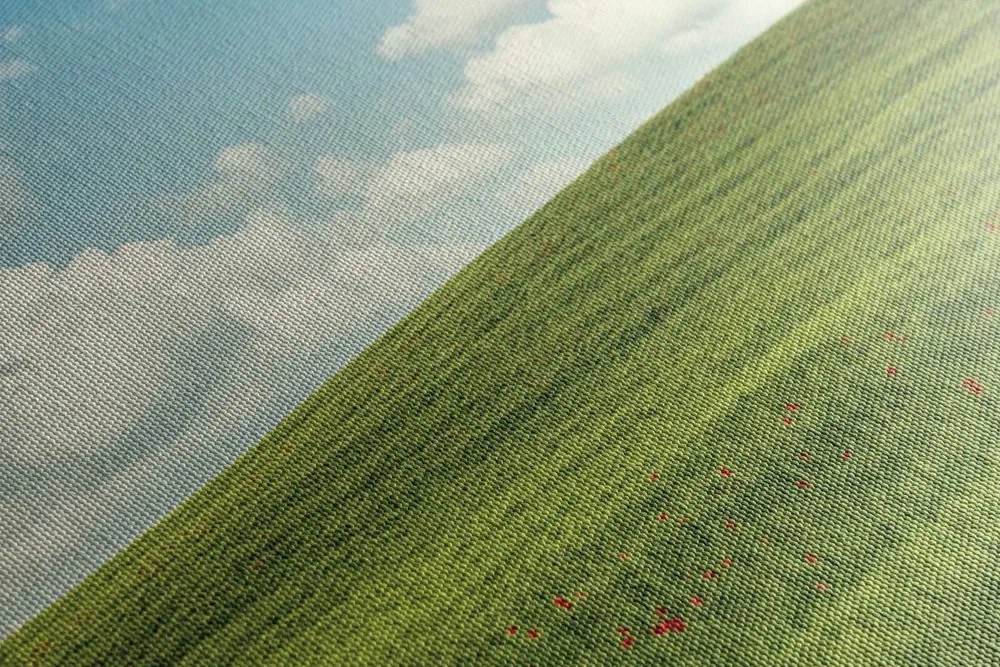 Quadro su tela – Splendido giorno sul prato