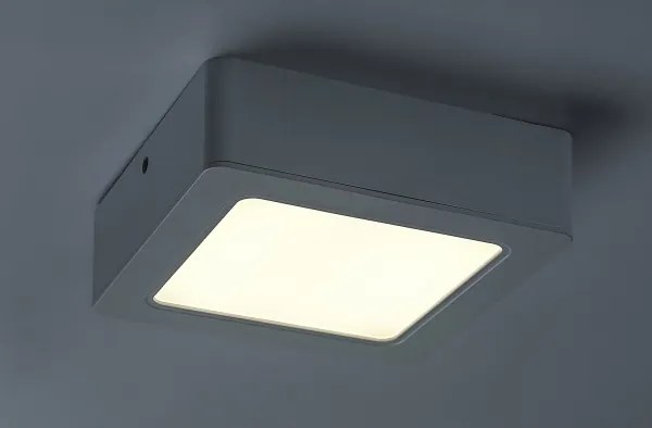Rabalux 3174 - Plafoniera LED SHAUN LED/12W/230V 14,5 cm