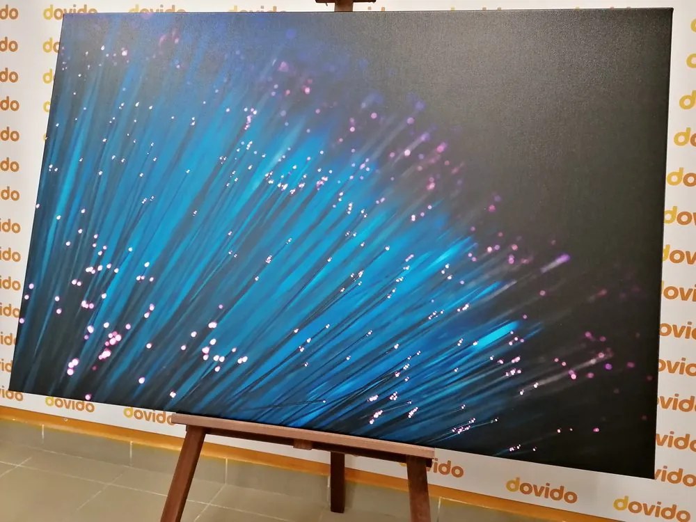 Quadro su tela – Fibra ottica