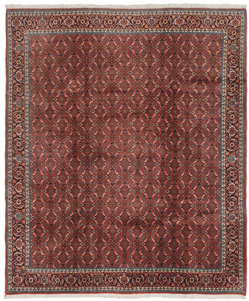 Bidjar Tappeto 250x210 (Iran) Annodato A Mano