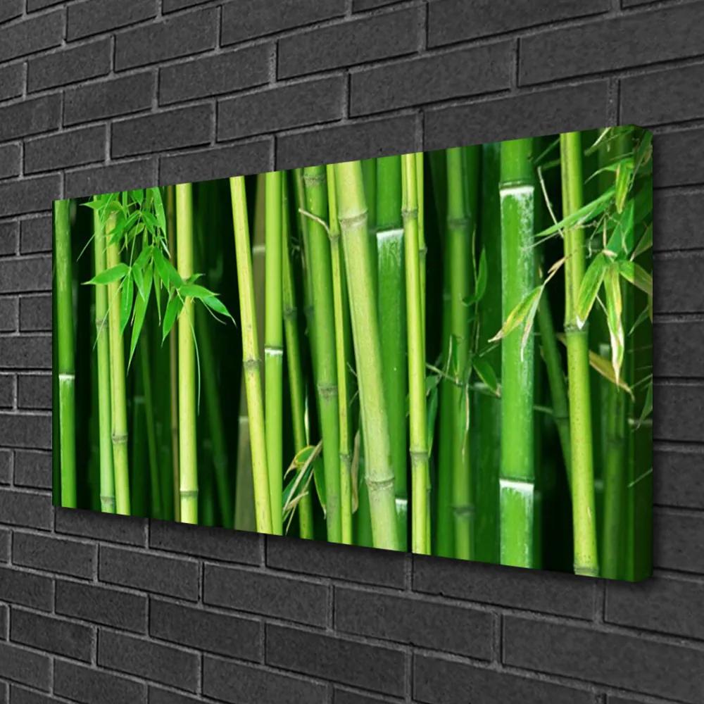 Quadro su tela Foresta di bambù Natura di bambù 100x50 cm
