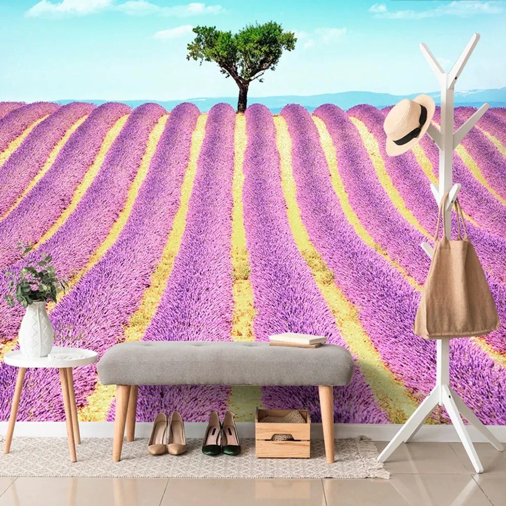 Carta da parati – Campo di lavanda provenzale