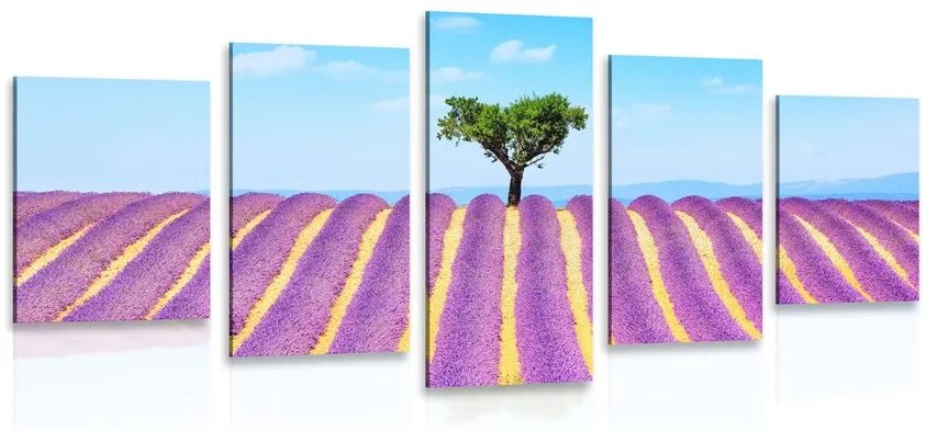 Quadri 5 pezzi – Campo di lavanda provenzale