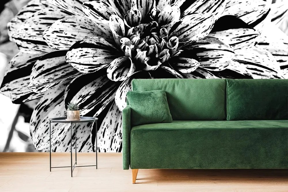Carta da parati – Dalia esotica in bianco e nero