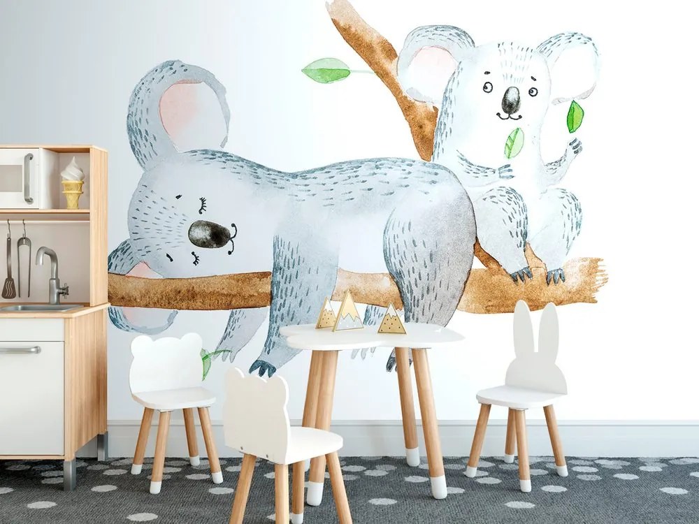 Carta da parati – Koala carini