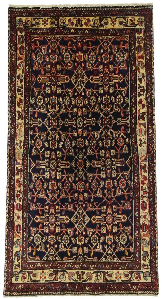 Hamedan Tappeto 120x230 (Iran)