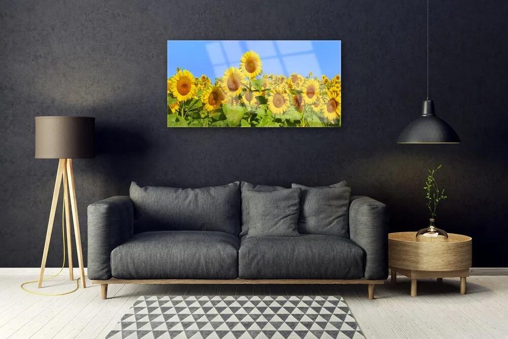 Quadro acrilico Pianta di fiori di girasole 100x50 cm