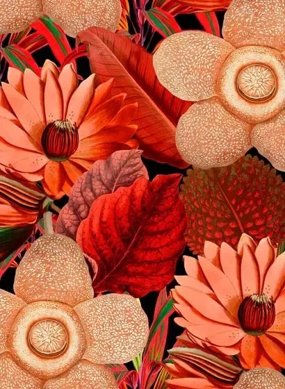 Blumentapete Water Lilies von MINDTHEGAP - WP20316