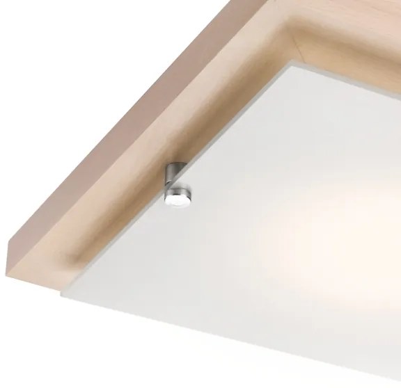Lampada da soffitto 1xE27/60W/230V