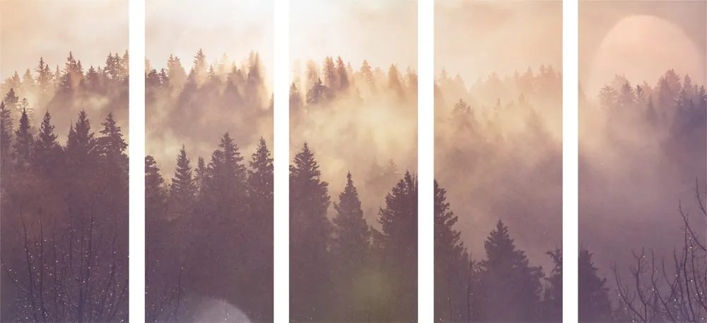 Quadri 5 pezzi – Nebbia sulla foresta